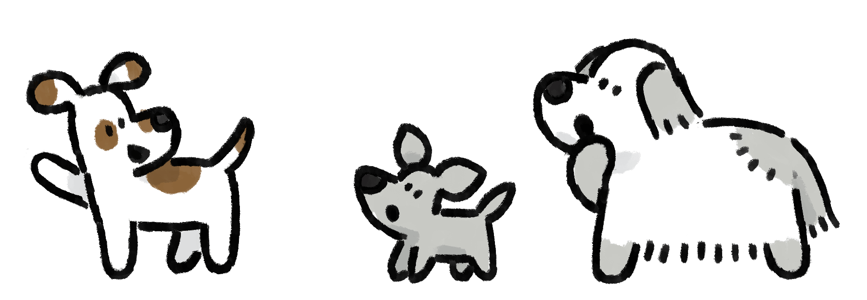 Dog daycare