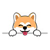 Dog daycare