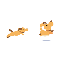 Dog daycare