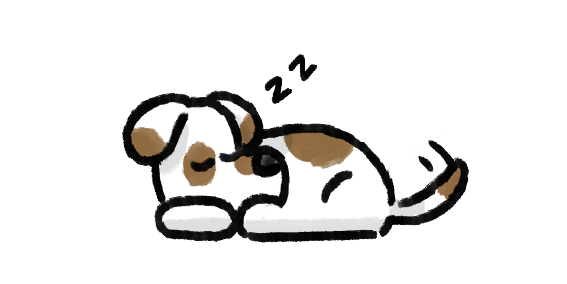 Dog day care