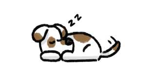 Sleepover